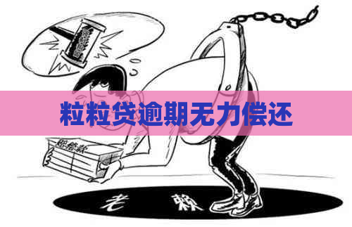 粒粒贷逾期无力偿还