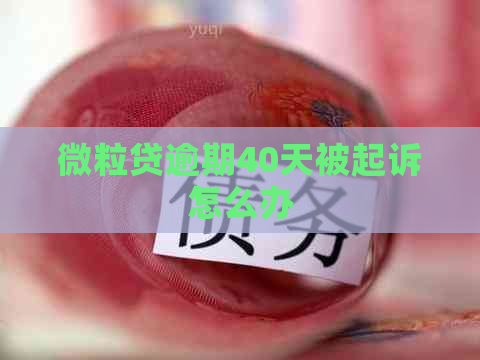 微粒贷逾期40天被起诉怎么办