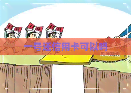 一号还信用卡可以吗