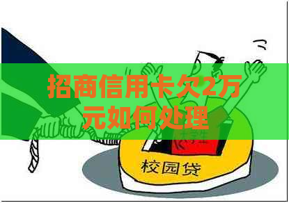 招商信用卡欠2万元如何处理