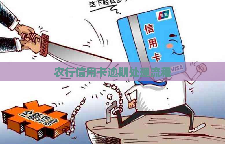 农行信用卡逾期处理流程