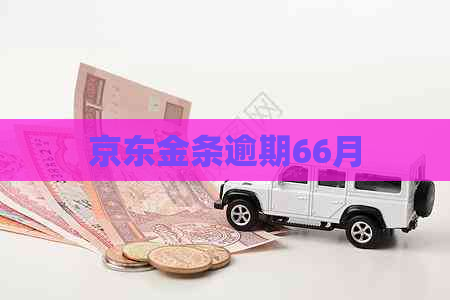 京东金条逾期66月