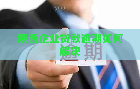 陕西企业贷款逾期如何解决