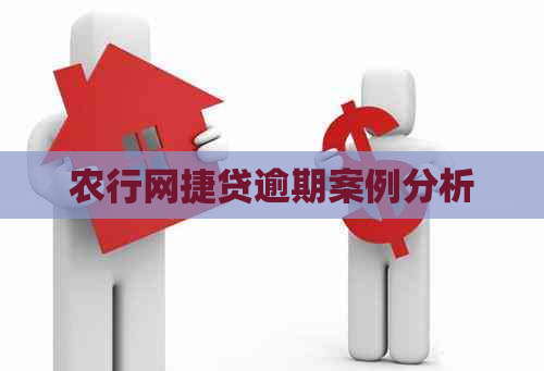 农行网捷贷逾期案例分析
