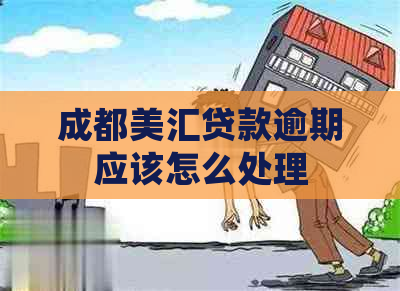 成都美汇贷款逾期应该怎么处理