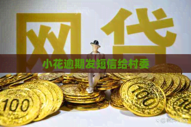 小花逾期发短信给村委