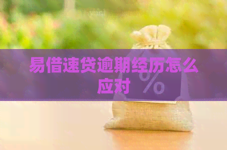 易借速贷逾期经历怎么应对