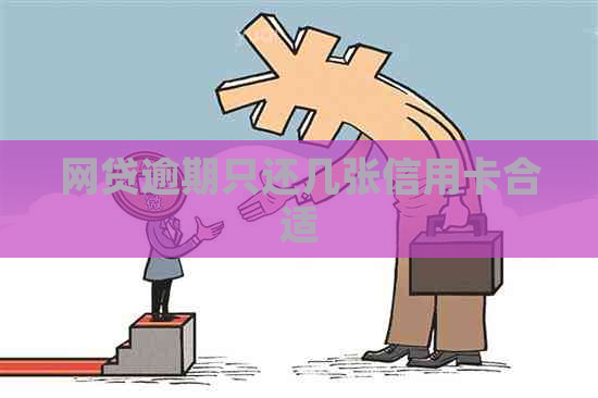 网贷逾期只还几张信用卡合适