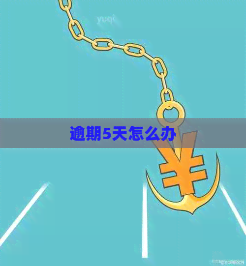 逾期5天怎么办