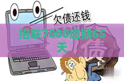招联7000逾期65天