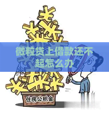 微粒贷上借款还不起怎么办