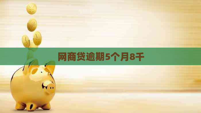 白条贷逾期5个月8千