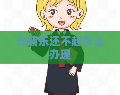 还不起怎么办理