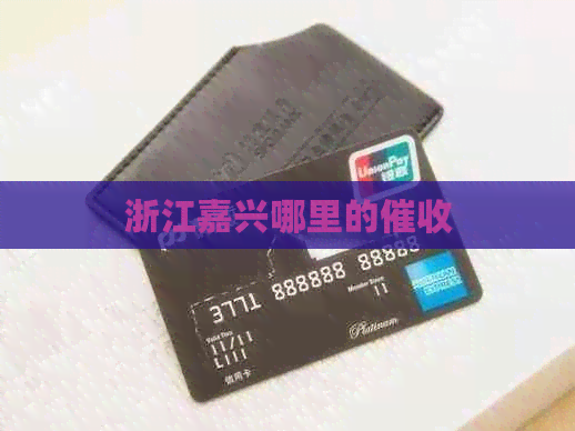 浙江嘉兴哪里的