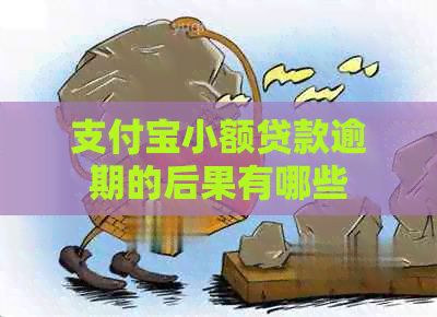 信用卡小额贷款逾期的后果有哪些