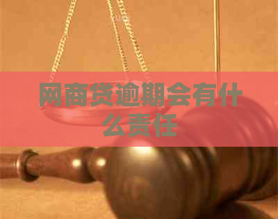 白条贷逾期会有什么责任