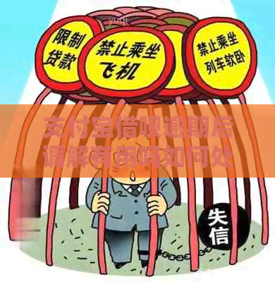 信用卡信用卡逾期后调解有用吗如何处理