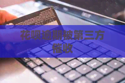 白条逾期被第三方