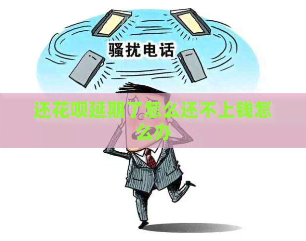 还白条延期了怎么还不上钱怎么办