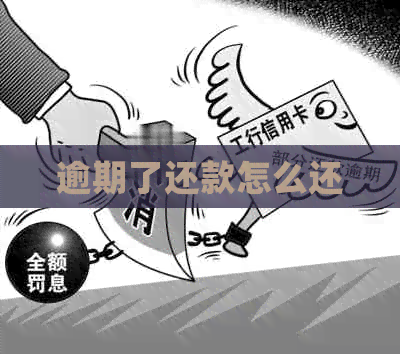 逾期了还款怎么还