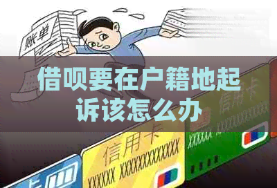 信用卡要在户籍地起诉该怎么办