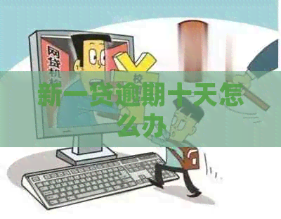 新一贷逾期十天怎么办