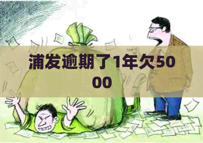 浦发逾期了1年欠5000
