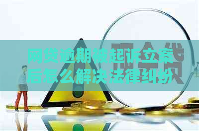 网贷逾期被起诉立案后怎么解决法律纠纷