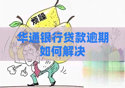 华通银行贷款逾期如何解决