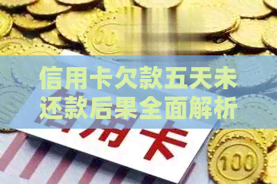 信用卡欠款五天未还款后果全面解析：影响信用评分、额外费用及解决方案