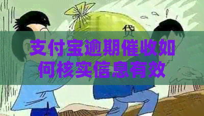 信用卡逾期如何核实信息有效