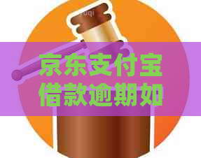 京东信用卡借款逾期如何解决