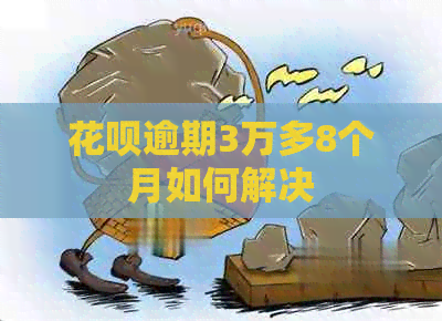 白条逾期3万多8个月如何解决