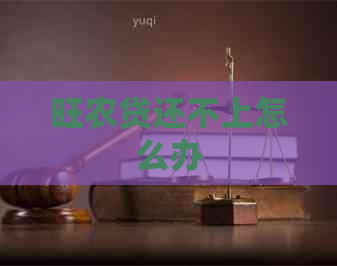 旺农贷还不上怎么办