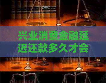 兴业消费金融延迟还款多久才会被处理
