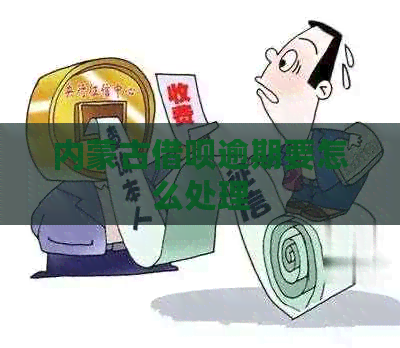 内蒙古信用卡逾期要怎么处理