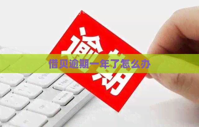 借贝逾期一年了怎么办