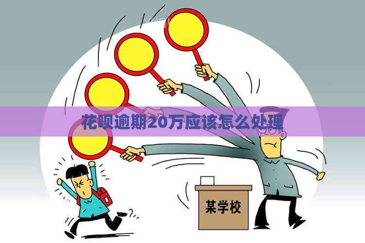 白条逾期20万应该怎么处理