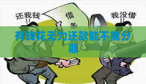 有钱花无力还款能不能分期