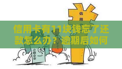 信用卡有11块钱忘了还款怎么办？逾期后如何处理？