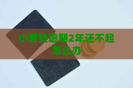 小芽贷逾期2年还不起怎么办
