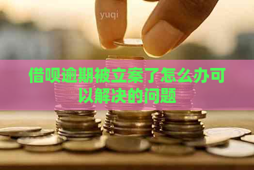 借呗逾期被立案了怎么办可以解决的问题
