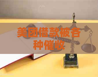 美团借款被各种