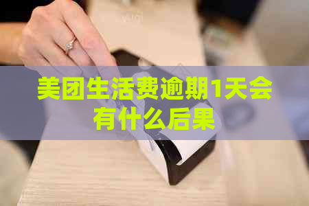 美团生活费逾期1天会有什么后果