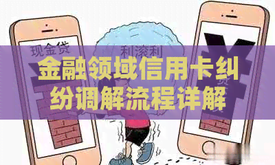 金融领域信用卡纠纷调解流程详解