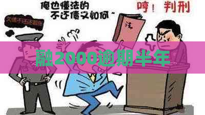 融2000逾期半年