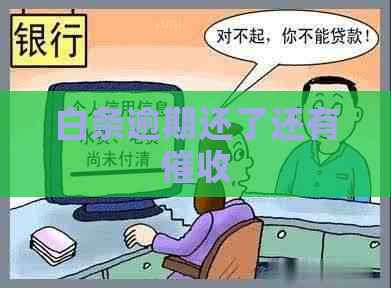 白条逾期还了还有