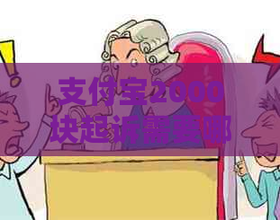支付宝2000块起诉需要哪些流程