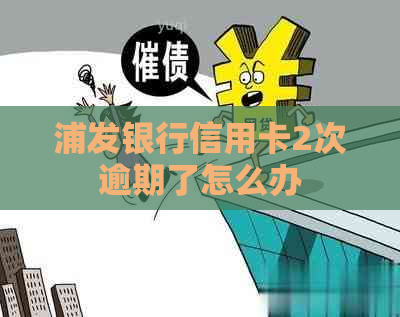 浦发银行信用卡2次逾期了怎么办