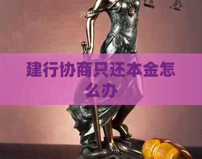 建行协商只还本金怎么办